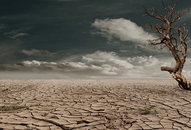 8 Hal yang Harus Diketahui Tentang Pemanasan Global dan Dampaknya Bagi Manusia