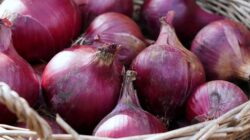 Harga Bawang Merah dan Cabai di Kendari Naik Jelang Natal dan Tahun Baru 9 Bawang