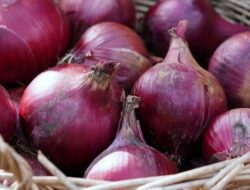 Harga Bawang Merah dan Cabai di Kendari Naik Jelang Natal dan Tahun Baru