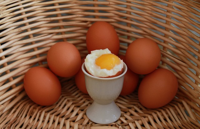 10 Manfaat Makan Telur untuk Kesehatan Anak