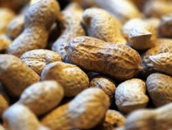 4 Manfaat Kacang Tanah untuk Kesehatan, Bisa Menurunkan Berat Badan