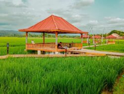 3.718 Desa Aktif Berkomitmen untuk Maju! Ini Desa BRILian Terbaik yang Siap Bersaing di Nugraha Karya 2023