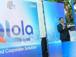 Qlola by BRI, Solusi Layanan Digital Perbankan Terintegrasi untuk Usaha dari Wholesale hingga Retailer