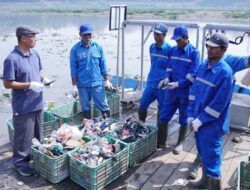 Kolabs Yayasan Bening Saguling & BRI Peduli, Ajak Masyarakat Tepi Sungai Citarum Kelola Sampah