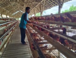 Awalnya Terhimpit Pandemi, Kini Klaster Usaha Ini Berkembang Berkat Program BRI KlasterkuHidupku