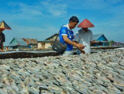 Bidik 3,7 juta Pelaku UMKM, BRI Targetkan Penyaluran KUR Rp165 Triliun Rampung Pada September 2024