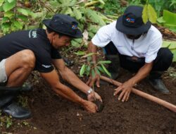 Menanam Tanaman Produktif di Lahan Kritis, BRI Grow & Green Berdayakan Dua Kelompok Tani di Bali