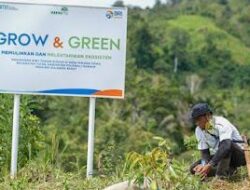 Bangkitkan Harapan Petani di Lahan Kritis, BRI Menanam Grow and Green Salurkan Bantuan Tanaman Produktif