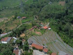 Apresiasi Program Desa BRILiaN, Wamen BUMN Yakin Pemberdayaan Desa Jadi Engine of Growth Perekonomian Indonesia