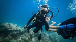 Diving Murah di Pulau Labengki, Melihat Keindahan Bawah Laut yang Mengagumkan