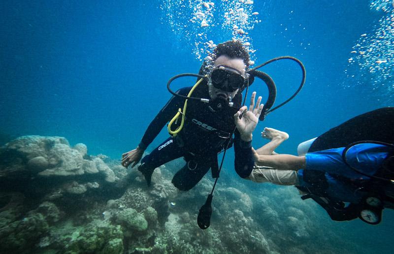 Diving Murah di Pulau Labengki, Melihat Keindahan Bawah Laut yang Mengagumkan