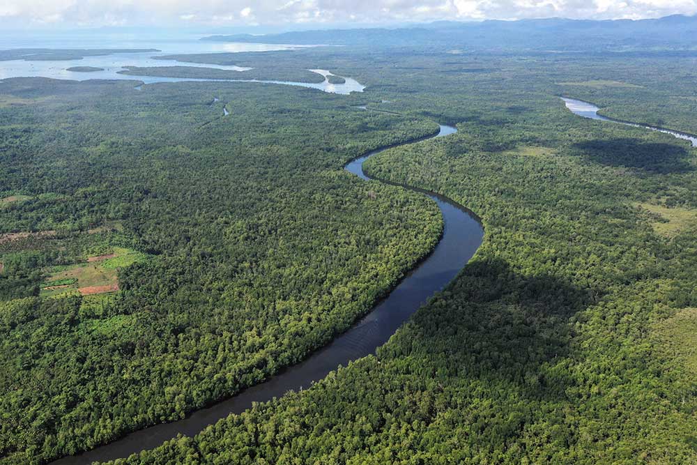 Sultra Miliki 94 Ribu Hektare Lahan Mangrove, Terluas di Buton Utara