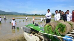 Pastikan Ketersediaan Pupuk Subsidi, Mentan Amran Dorong Petani Konawe Wujudkan Swasembada 14 Pastikan Ketersediaan Pupuk Subsidi, Mentan Amran Dorong Petani Konawe Wujudkan Swasembada