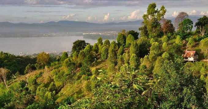 Banjir di Jalan Lasolo dan Sekitarnya Disebut akibat Beralih Fungsinya Tahura Nipa-Nipa