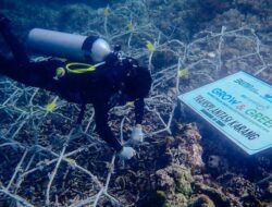 BRI Menanam Grow & Green Bantu Jaga Ekosistem Laut dan Kembangkan Potensi Wisata Daerah