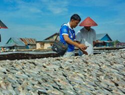 Terus Meningkat, Portofolio Pembiayaan Berkelanjutan BRI Capai Rp787,9 Triliun pada 2024