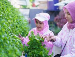 Lewat BRI Peduli-BRInita, Warga di Palembang Sulap TPS Liar Jadi Urban Farming yang Bernilai Ekonomis