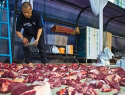 Peternak Kambing Ini Banjir Pembeli dari Berbagai Daerah, Sukses Kembangkan Usaha Berkat Pemberdayaan BRI