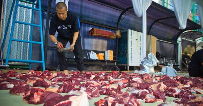 Peternak Kambing Ini Banjir Pembeli dari Berbagai Daerah, Sukses Kembangkan Usaha Berkat Pemberdayaan BRI 1 Peternak Kambing Ini Banjir Pembeli dari Berbagai Daerah, Sukses Kembangkan Usaha Berkat Pemberdayaan BRI