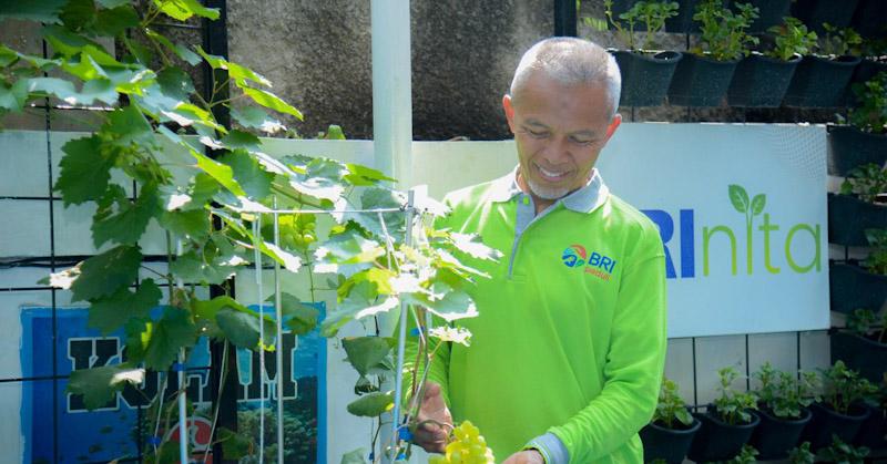 Didukung BRINita, Kelompok Tani Ini Sulap Lahan Terbengkalai Jadi Produktif