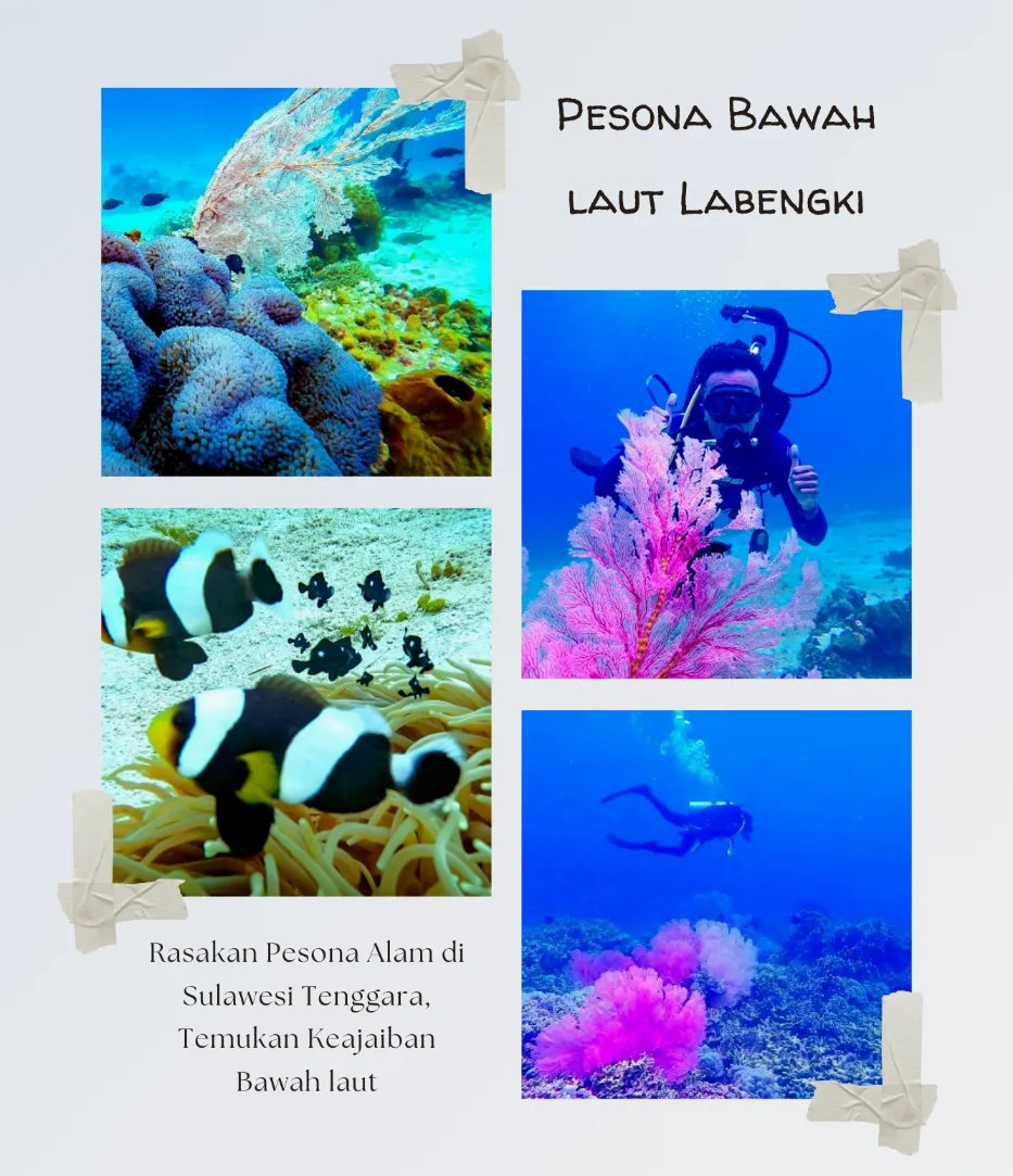 Pulau Labengki dan Pesona Bawah Lautnya yang Menakjubkan 3 Pulau Labengki dan Pesona Bawah Lautnya yang Menakjubkan