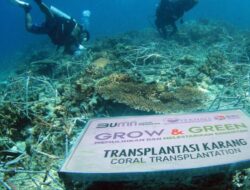 BRI Pulihkan Ekosistem dan Lawan Perubahan Iklim Melalui Program Menanam – Grow & Green