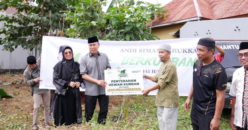Andi Sumangerukka Sebar 40 Ekor Sapi Kurban di Sultra 1 Andi Sumangerukka Sebar 40 Ekor Sapi Kurban di Sultra