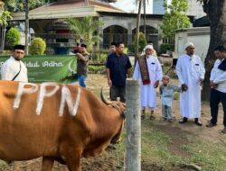 PT Pertamina Patra Niaga Sulawesi Bagi-Bagi Daging Kurban 88 Ekor Sapi dan 48 Ekor Kambing