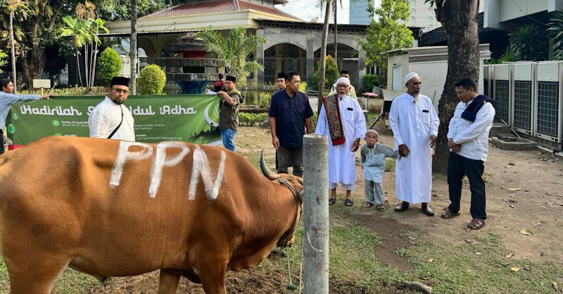 PT Pertamina Patra Niaga Sulawesi Bagi-Bagi Daging Kurban 88 Ekor Sapi dan 48 Ekor Kambing