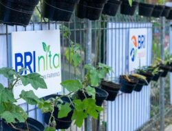 Fokus Jalankan Praktik Bisnis Berkelanjutan, BRI Masuk Dalam Daftar CNBC Indonesia Green Business Ratings 2024