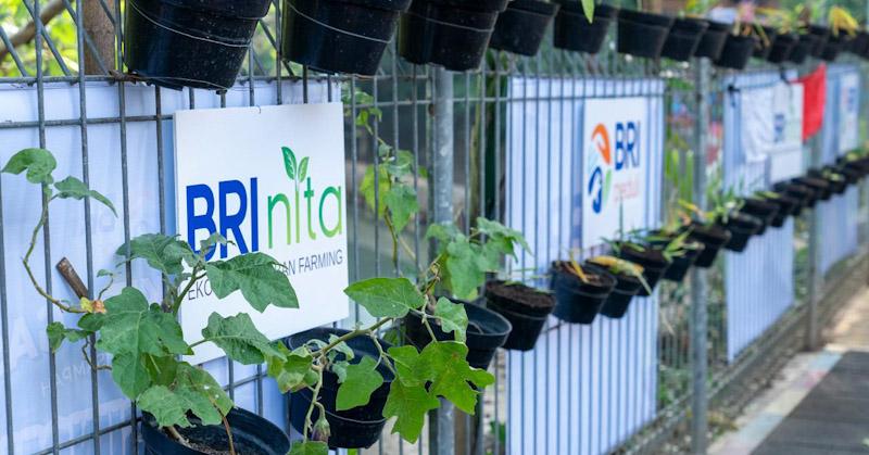 Fokus Jalankan Praktik Bisnis Berkelanjutan, BRI Masuk Dalam Daftar CNBC Indonesia Green Business Ratings 2024