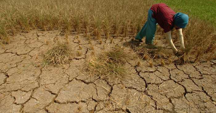 BMKG Imbau Masyarakat Sultra Waspada Musim Kemarau