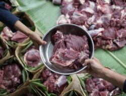 Cara Menyimpan Daging Kurban di Kulkas agar Kualitas Tetap Terjaga