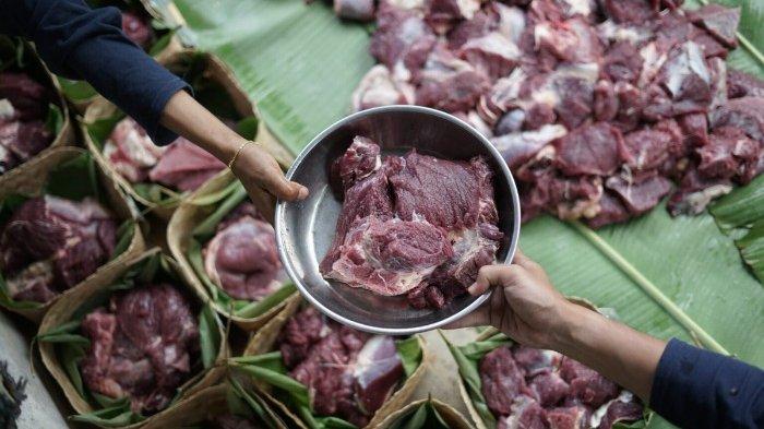 Cara Menyimpan Daging Kurban di Kulkas agar Kualitas Tetap Terjaga 1 Cara Menyimpan Daging Kurban di Kulkas agar Kualitas Tetap Terjaga