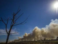 Awal Musim Kemarau di Sultra Diprediksi Juli 2024