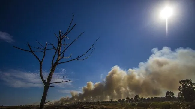 Awal Musim Kemarau di Sultra Diprediksi Juli 2024 1 Awal Musim Kemarau di Sultra Diprediksi Juli 2024