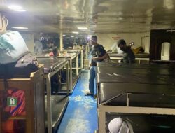 H-1 Lebaran Iduladha 2024, Kapal Malam Kendari-Raha Sepi Penumpang