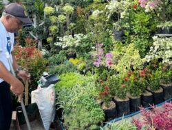 Cerita Klaster Bunga Bratang Binaan BRI di Surabaya, Kini Punya Tempat Usaha Nyaman yang Membuat Bisnis Terus Berkembang