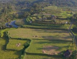 Mengenal Desa Angseri, Desa BRILiaN dengan Tata Kelola Terbaik