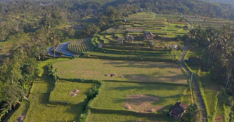 Mengenal Desa Angseri, Desa BRILiaN dengan Tata Kelola Terbaik