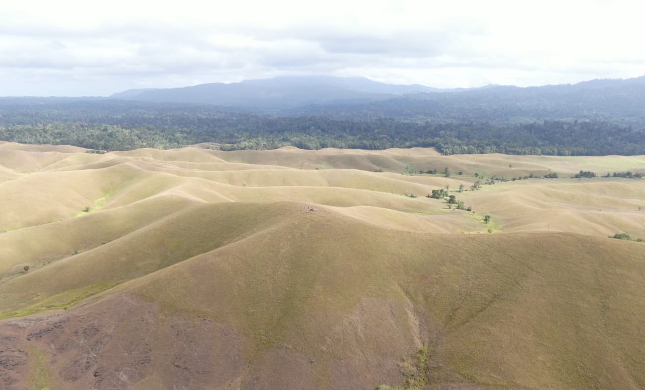 Berkelana di Padang Savana Rawa Aopa 4 Berkelana di Padang Savana Rawa Aopa
