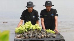 Upaya Nyata Menyelamatkan Lahan Kritis Akibat Abrasi, BRI Salurkan Ribuan Bibit Mangrove pada Kelompok Tani di Muaragembong 11 Upaya Nyata Menyelamatkan Lahan Kritis Akibat Abrasi, BRI Salurkan Ribuan Bibit Mangrove pada Kelompok Tani di Muaragembong
