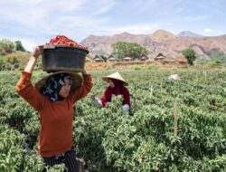 Ini Jurus BRI Kelola NPL UMKM Tetap Rendah di Bawah Industri Perbankan Nasional