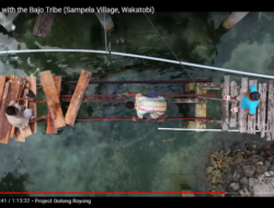 Kepala Desa di Wakatobi Kecewa Youtuber Denmark Bantu Perbaikan Jembatan