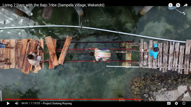 Kepala Desa di Wakatobi Kecewa Youtuber Denmark Bantu Perbaikan Jembatan