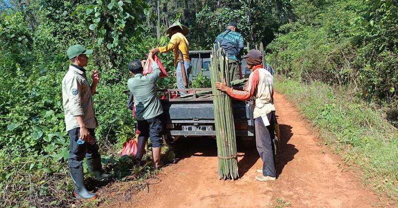 SPTN Wilayah I Balai TNRAW Pulihkan Ekosistem Lewat Pengayaan Tanaman 3 SPTN Wilayah I Balai TNRAW Pulihkan Ekosistem Lewat Pengayaan Tanaman