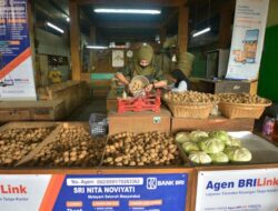 Milestone Sejarah Inklusi Keuangan di Indonesia, Jumlah AgenBRILink Tembus 1 Juta