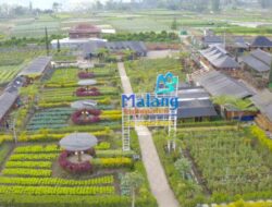 Dukung Pengembangan Ekonomi Desa, Program Desa BRILiaN 2024 Terus Berlanjut