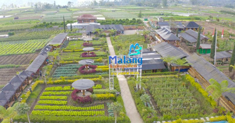 Dukung Pengembangan Ekonomi Desa, Program Desa BRILiaN 2024 Terus Berlanjut