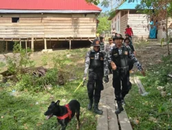 Polisi Kerahkan Anjing Pelacak Cari Orang Hilang di Hutan Labunia Muna
